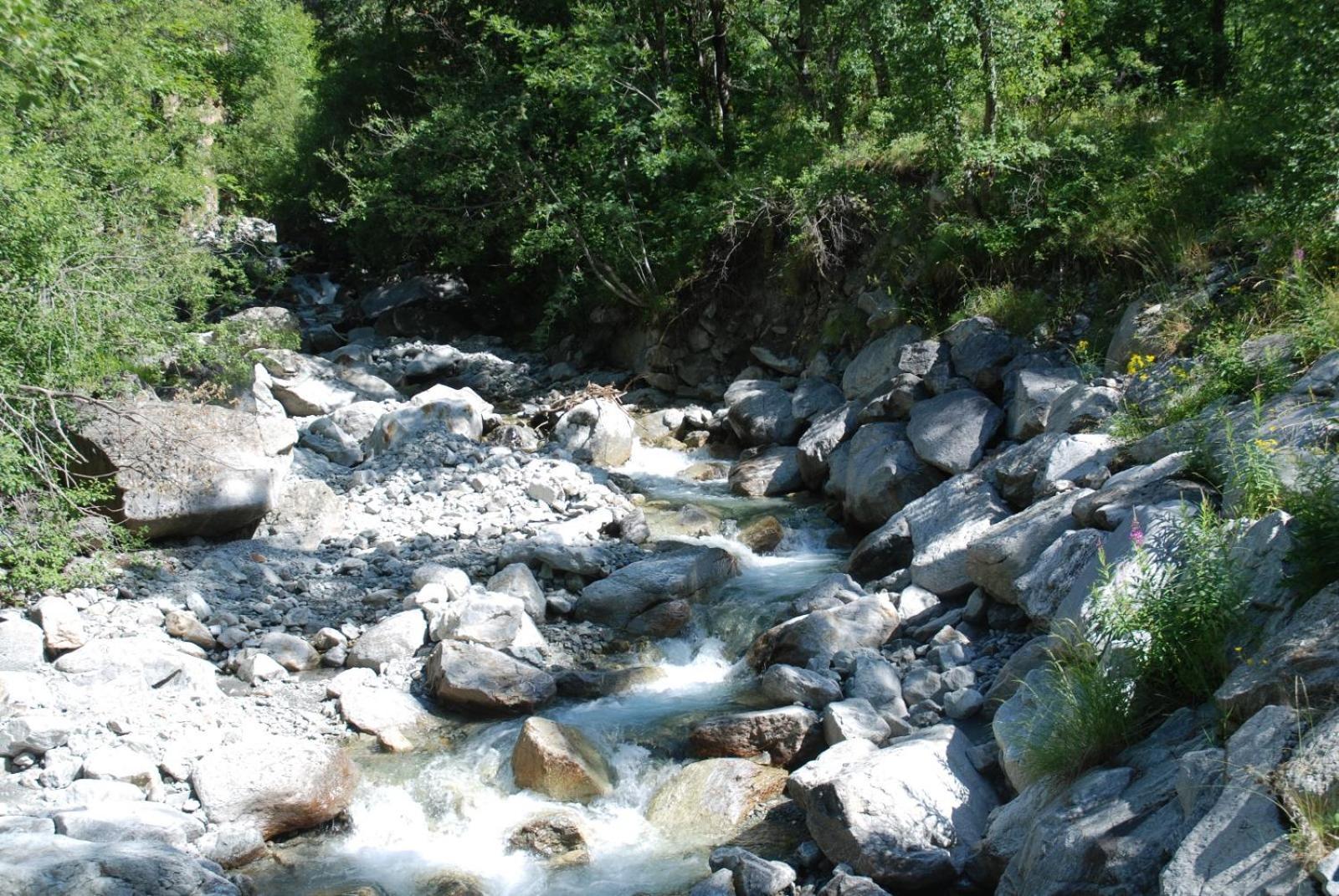 Les Gites De L'E.D.E. Saint-Leger-les-Melezes Exteriér fotografie